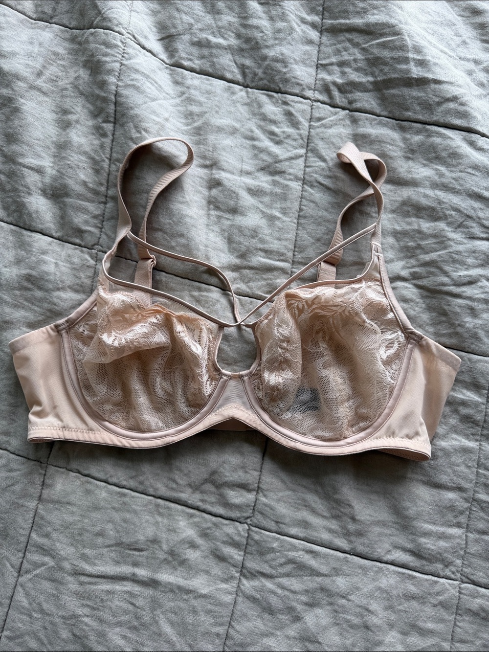 Understance Sheer Lace Underwire Bra in Blush Pink